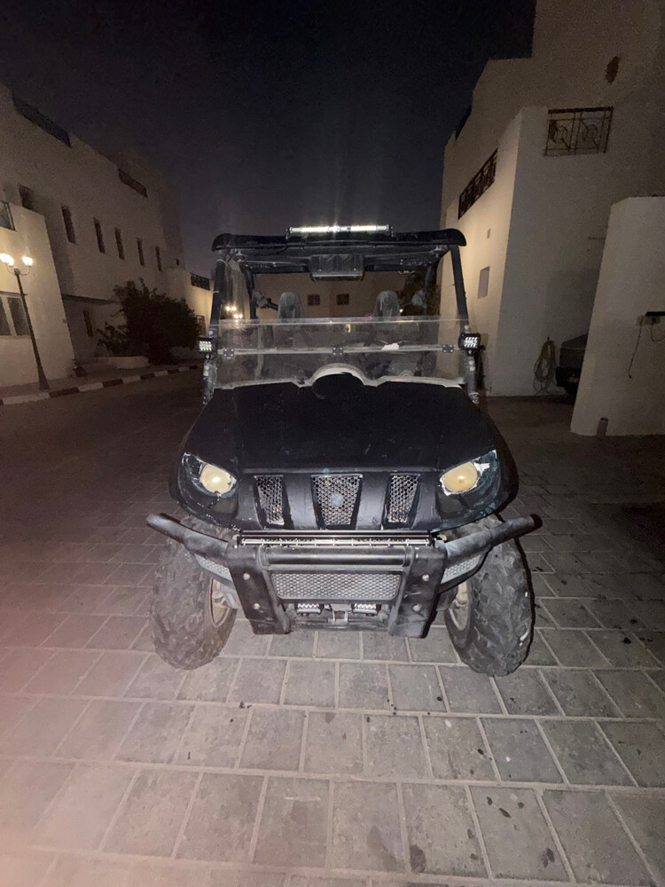 Yamaha rhino 700 or exgangeforbuggy - 2