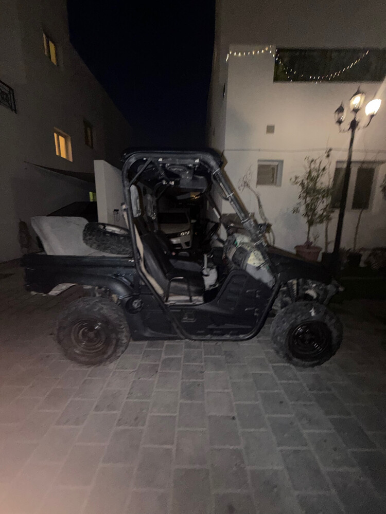 Yamaha rhino 700 or exgangeforbuggy - 7