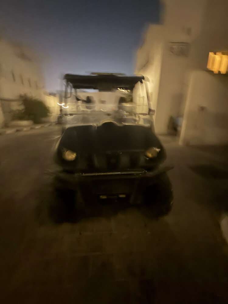 Yamaha rhino 700 or exgangeforbuggy - 10