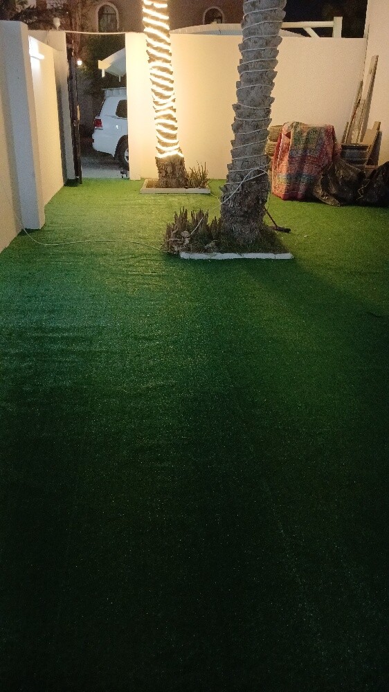 Artificial grass, grass carpet - 9