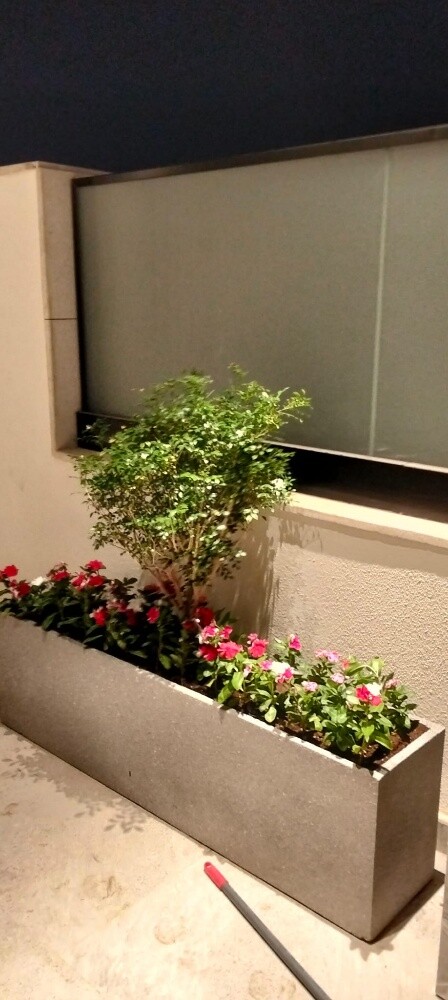 Garden work - 5