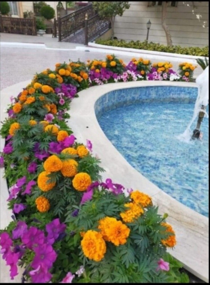 حدائق - 2