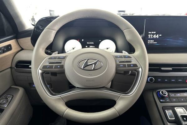 HYUNDAI PALISADE FULL OPTION 3.8L - 11