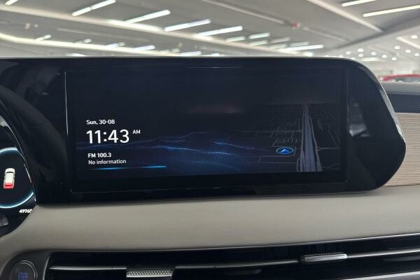 HYUNDAI PALISADE FULL OPTION 3.8L - 10