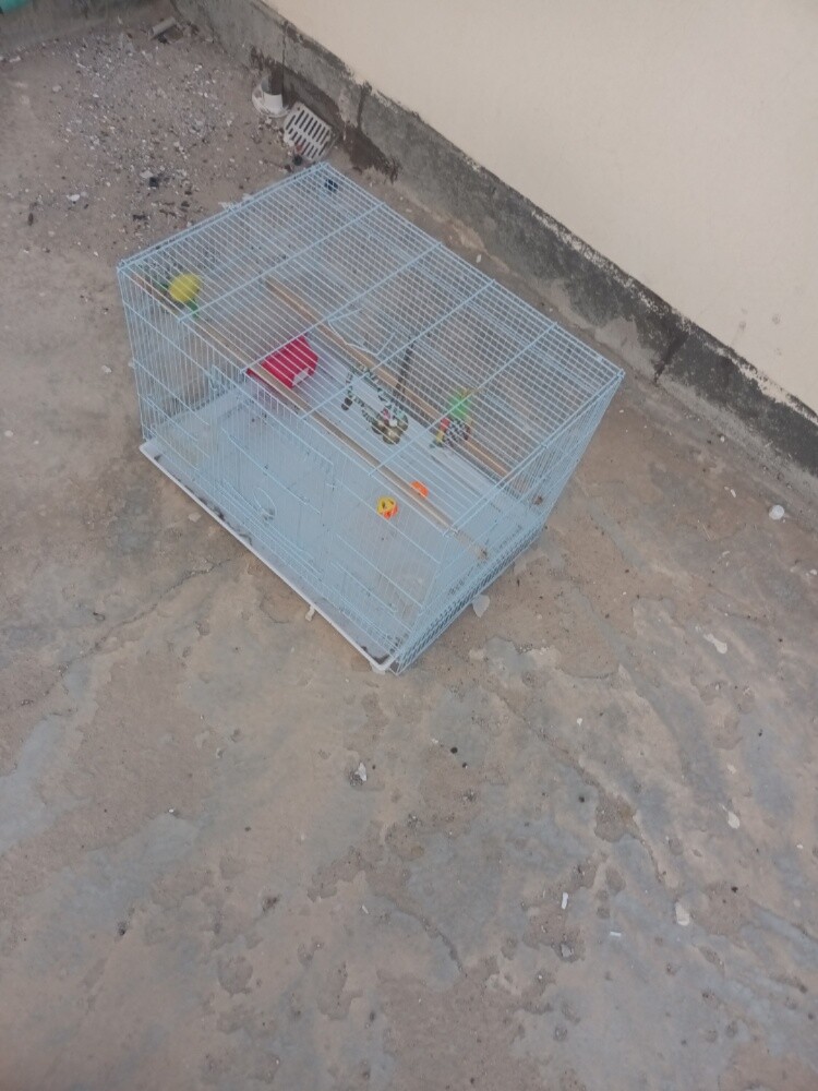 قفص طيور - 2