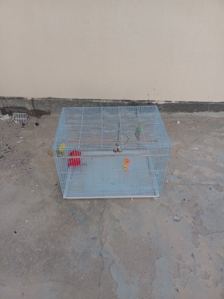 قفص طيور - 1