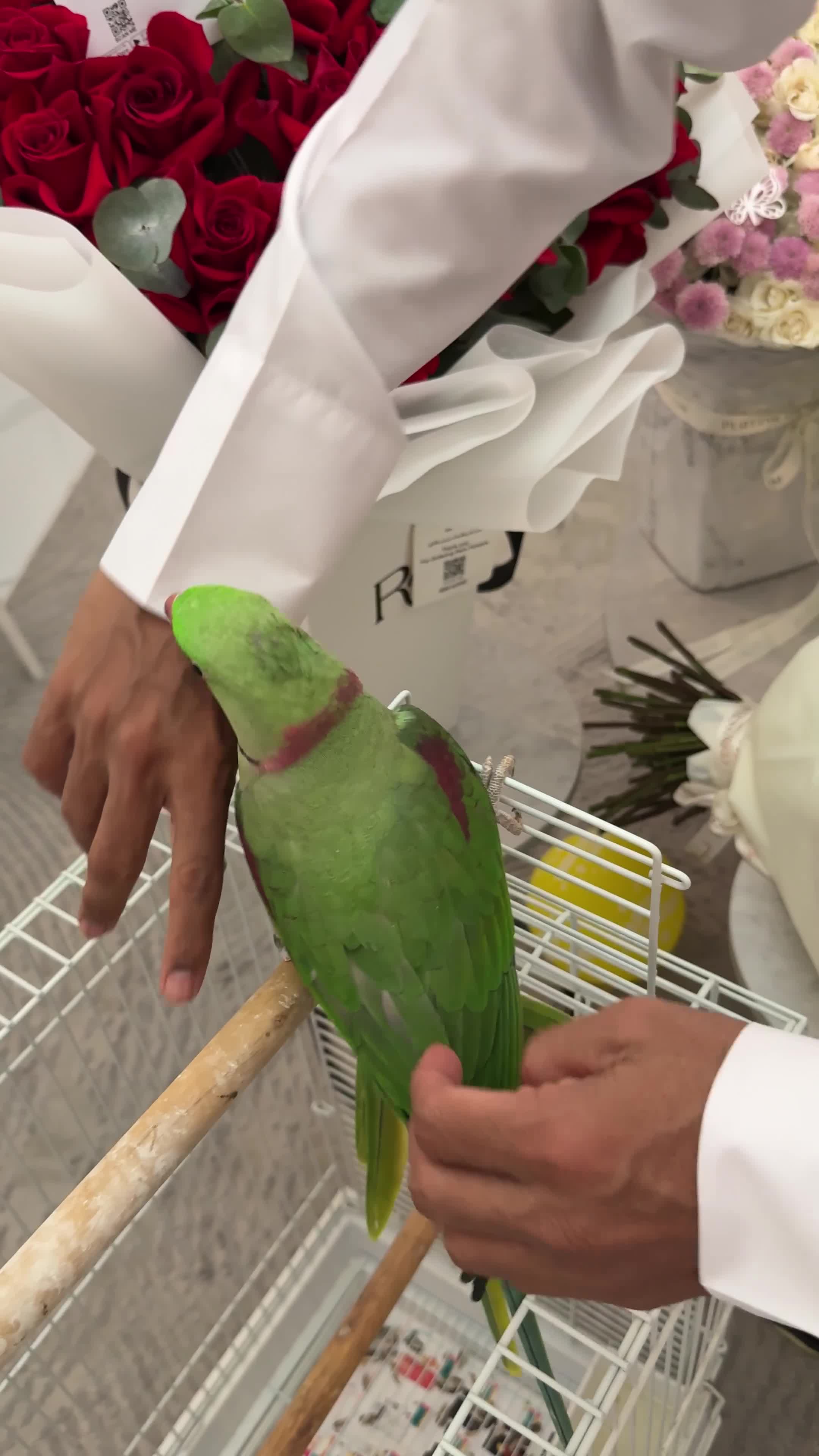 للبيع  - 1