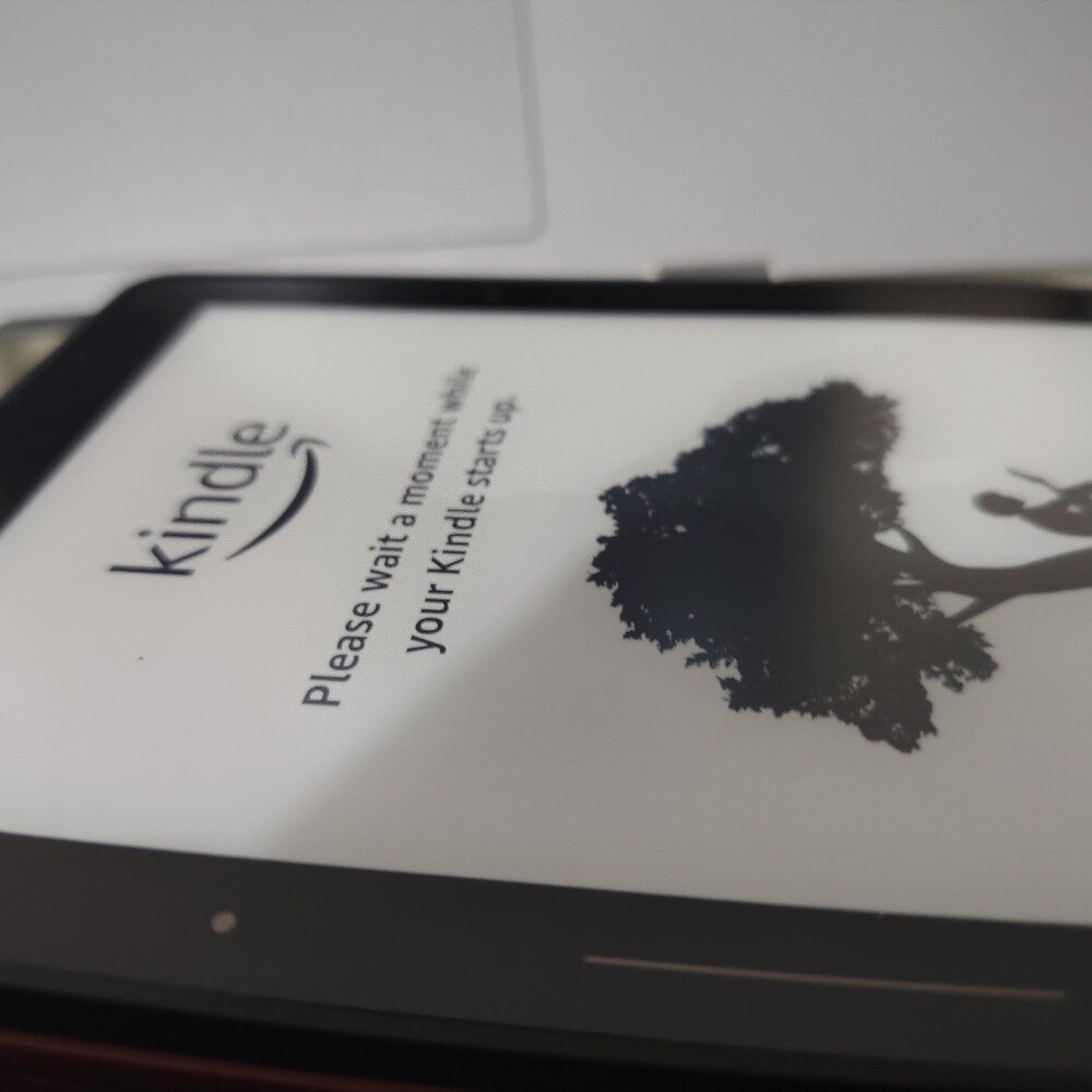 Kindle Amazon with Original Cover - 2