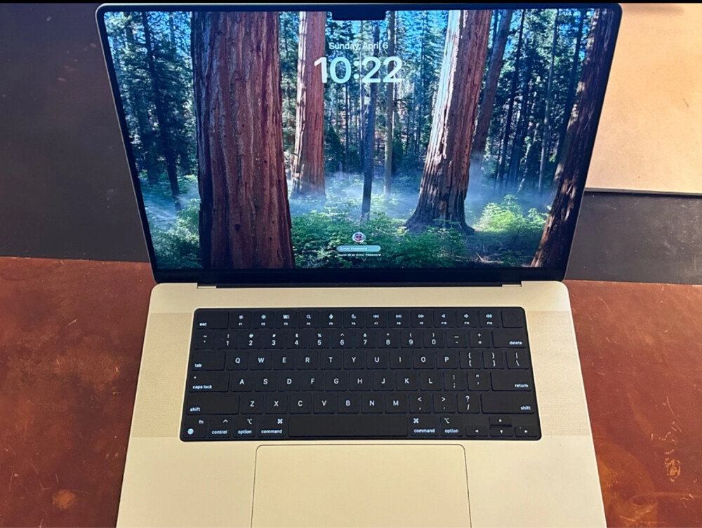 Apple M1 Max 32Ram 1TB 92% - 1