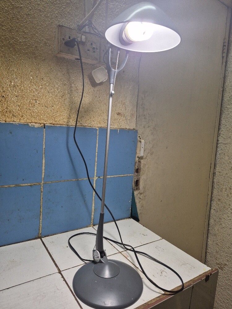 light for sell 775845300 - 2