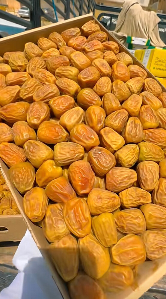 سكري مفتل درجه اولا - 1
