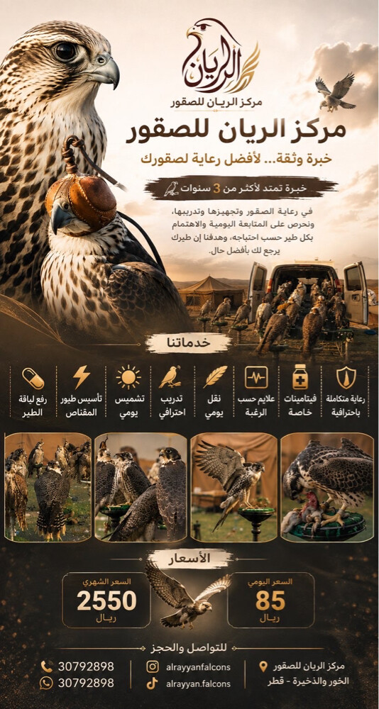 falcons - 1