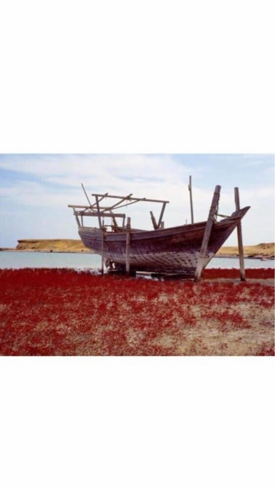 سمبوك - 2