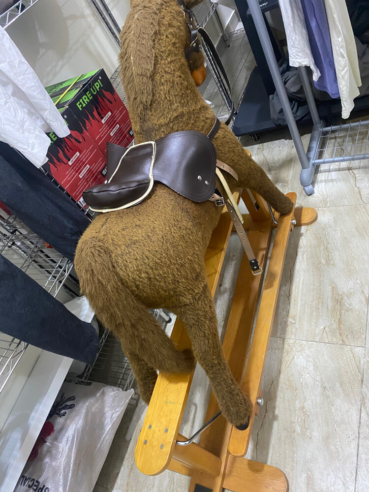 kids horse  - 3