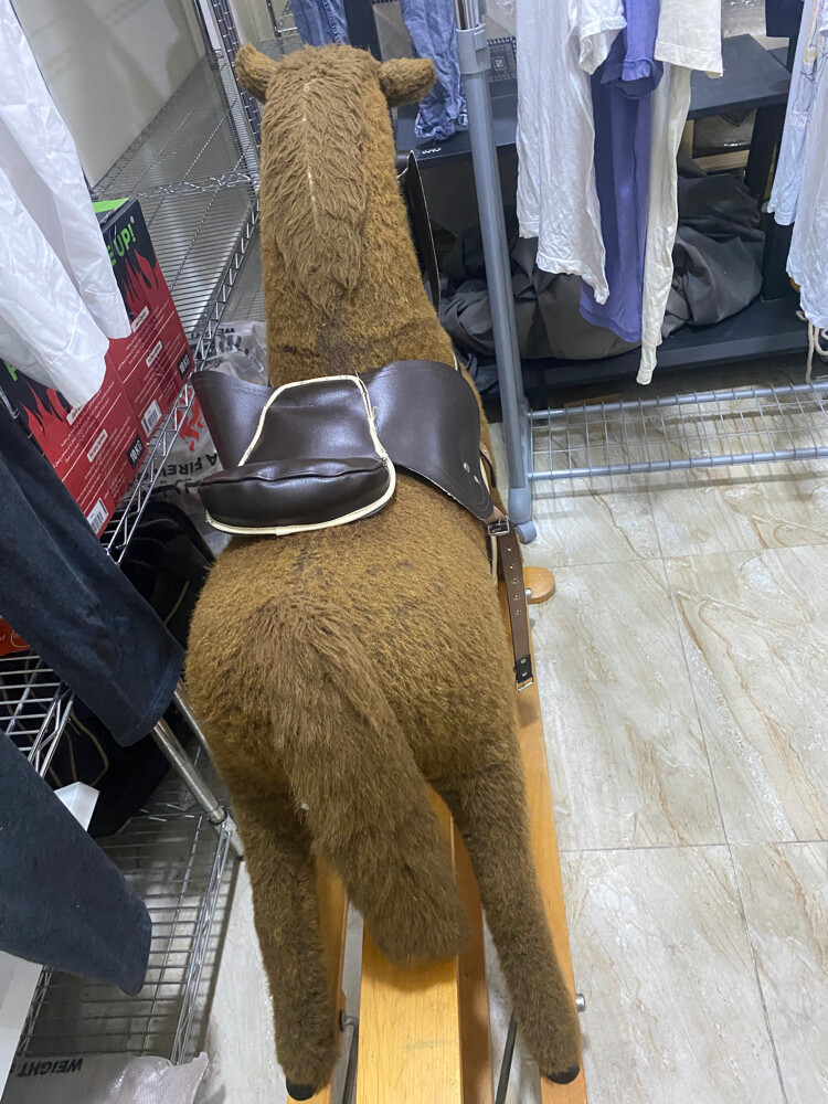kids horse  - 2
