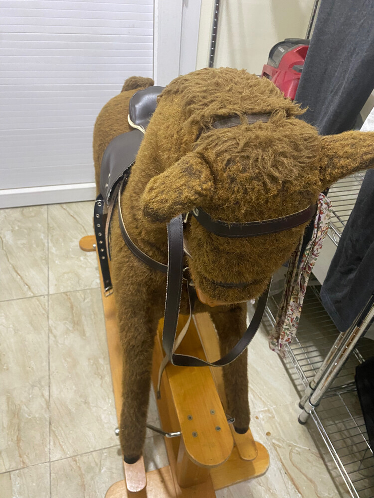 kids horse  - 1
