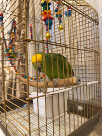 for sale  - 3