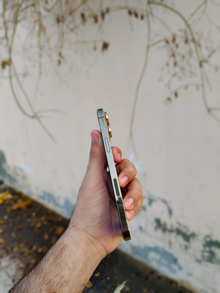 IPhone 13 Pro max - 2