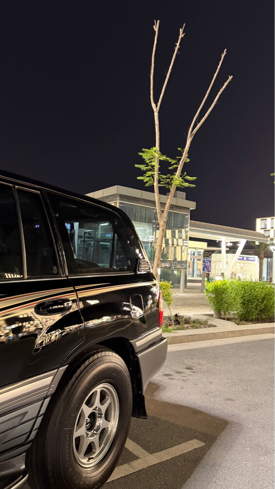 للبيع - 2