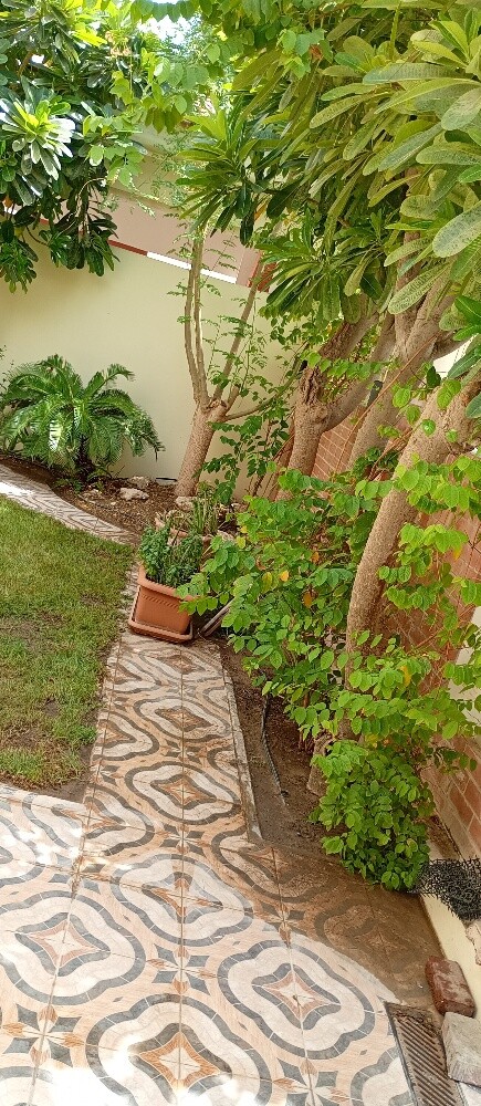 يوصف بالوشي - 3