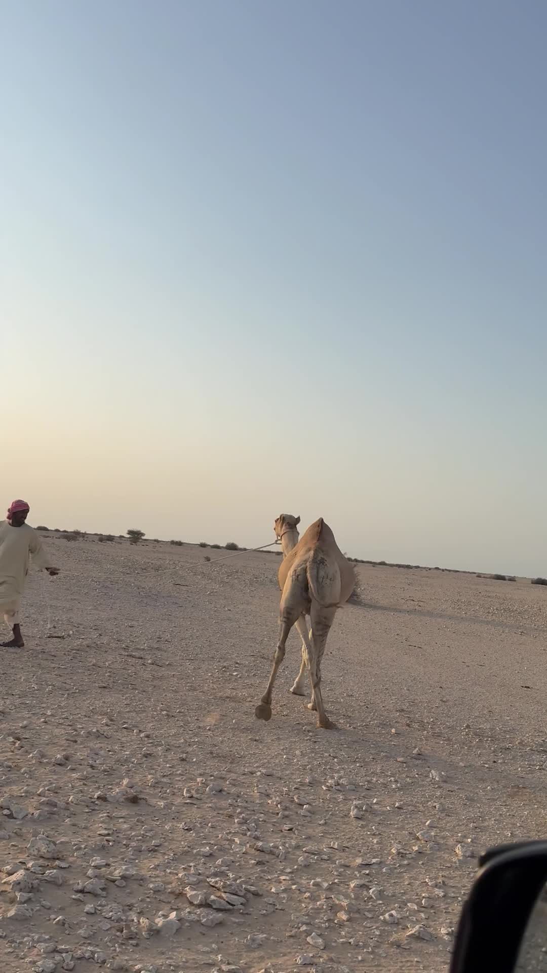 للبيع - 3