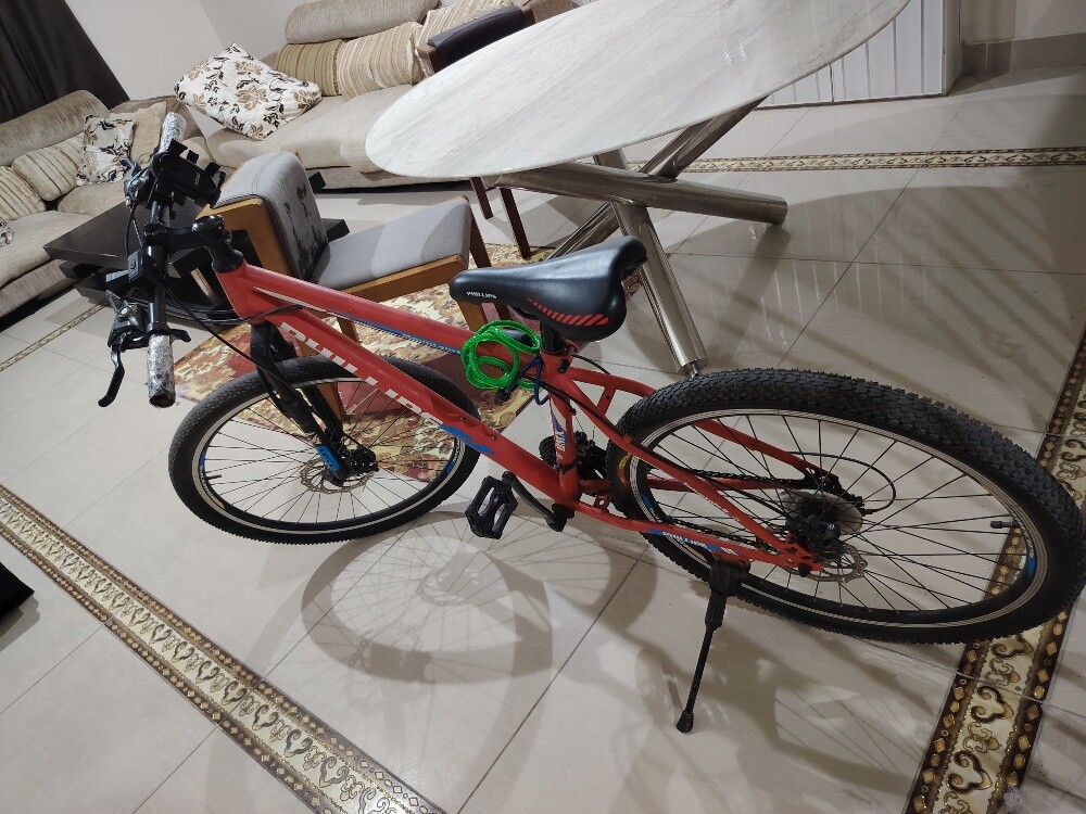 mountain bike - 2