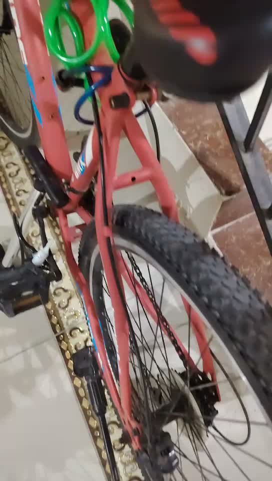 mountain bike - 3