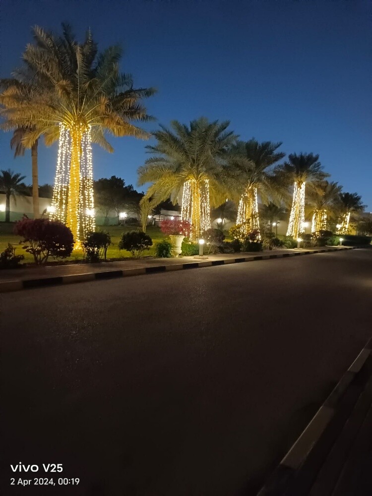 wedding lighting qatar - 12