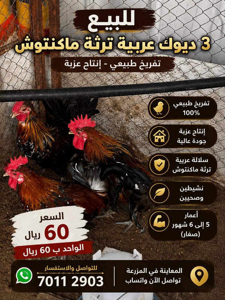 ديوك - 1