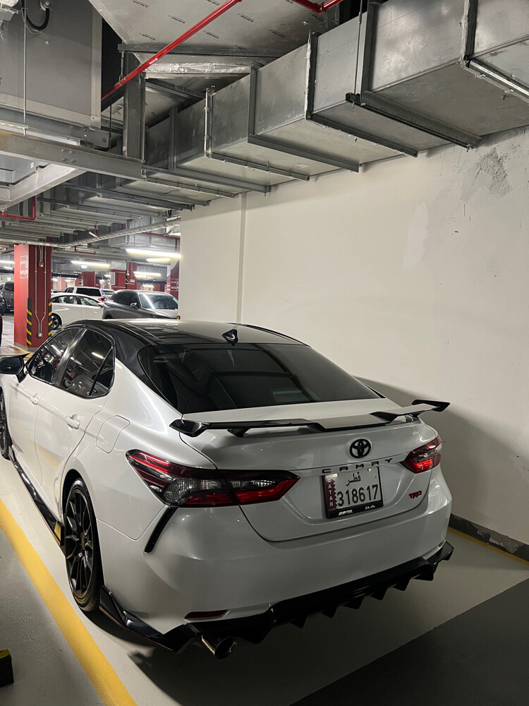 Carmy Trd - 4