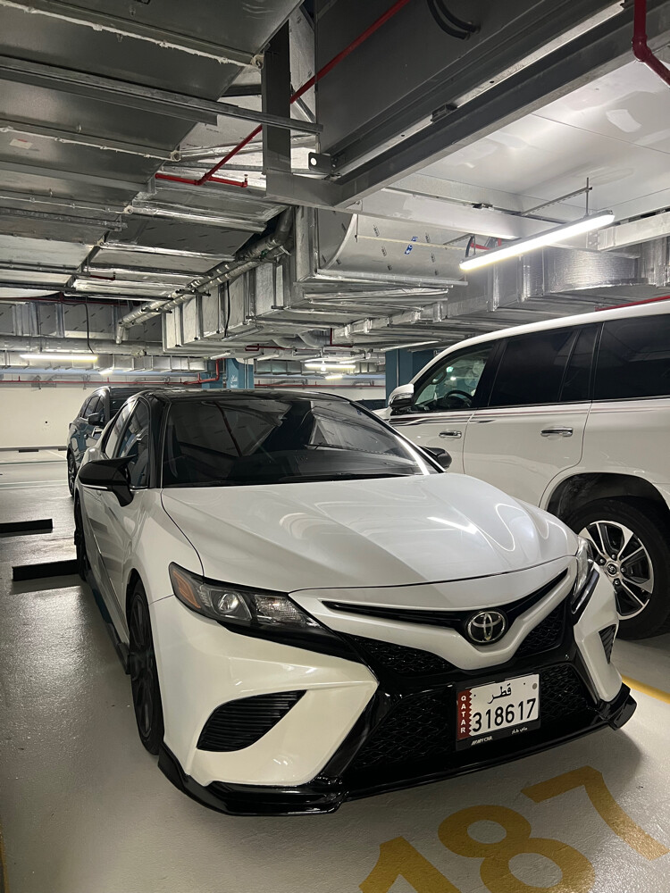 Carmy Trd - 6