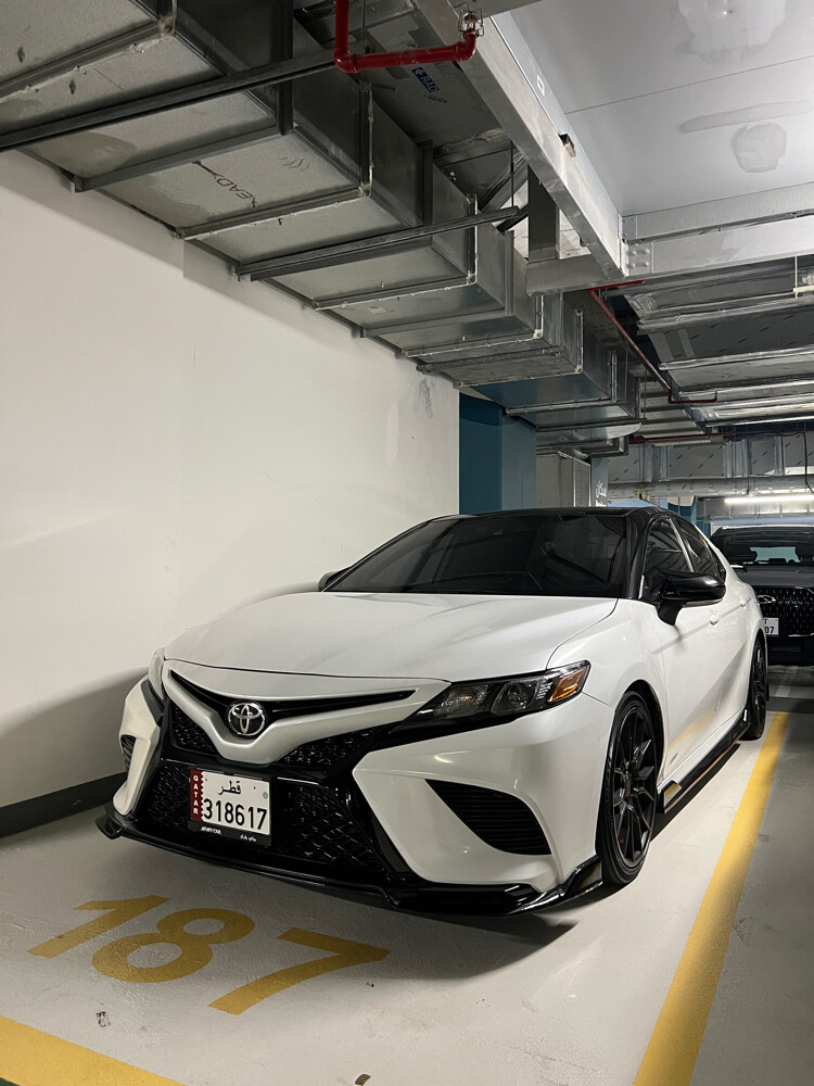 Carmy Trd - 1