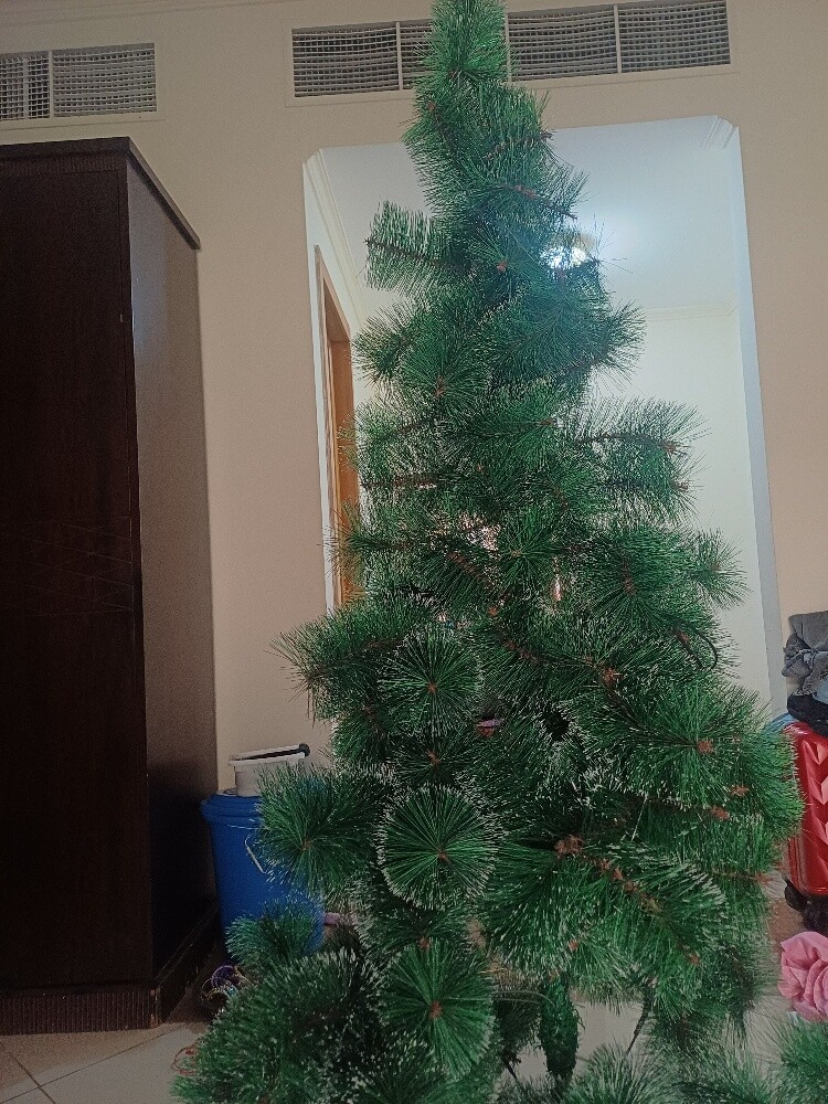 christmas tree - 3