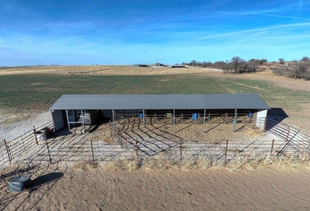 Sheep shed 100x150 - 1