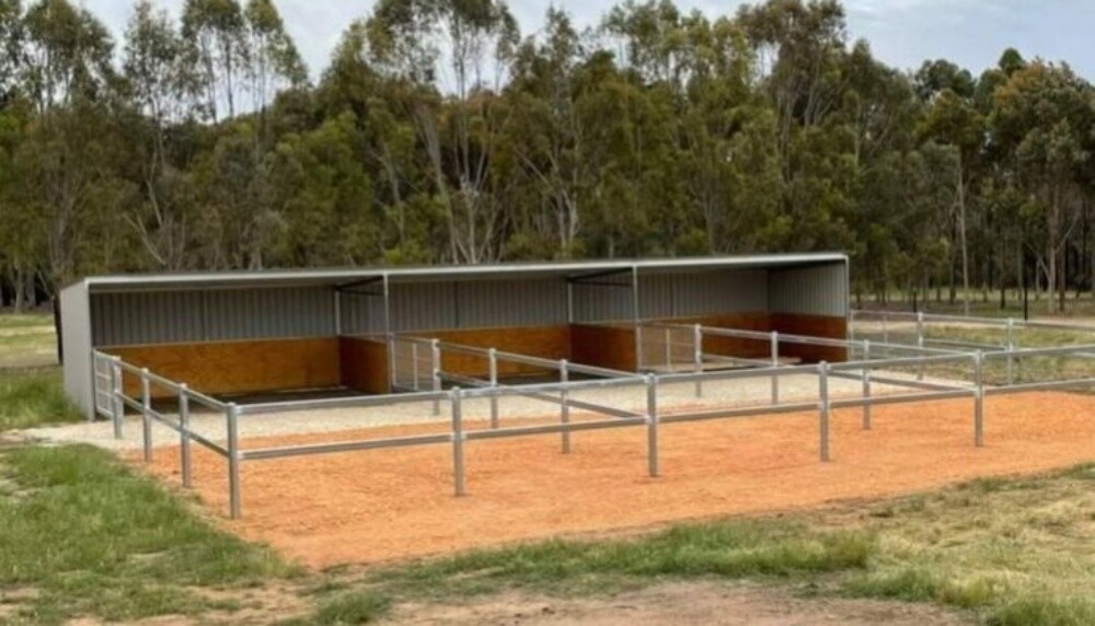Sheep shed 100x150 - 3