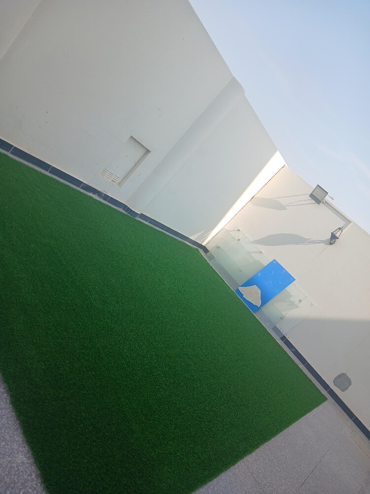 Artificial grass, grass carpet - 6