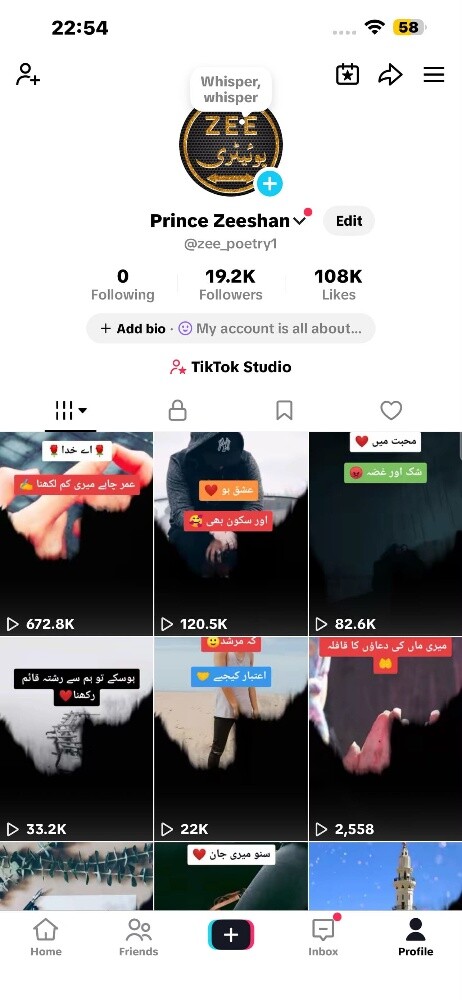 tiktok accounts for sale cheap$ - 2
