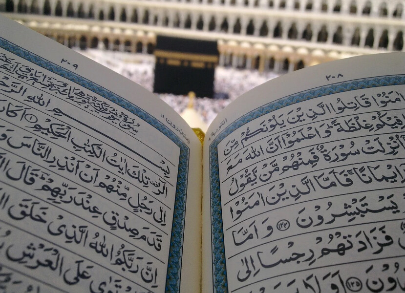 Quran and Qaida instructor - 1