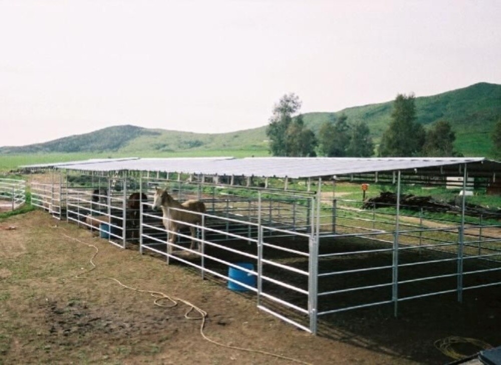 Horse stall - 1