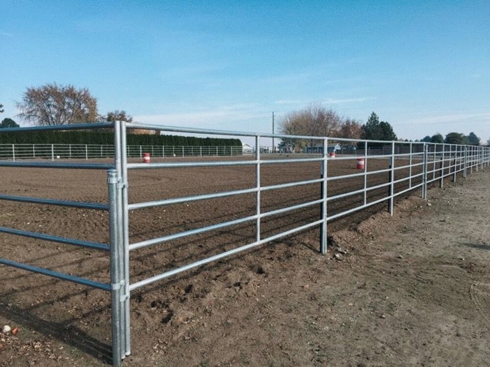Horse stall - 3