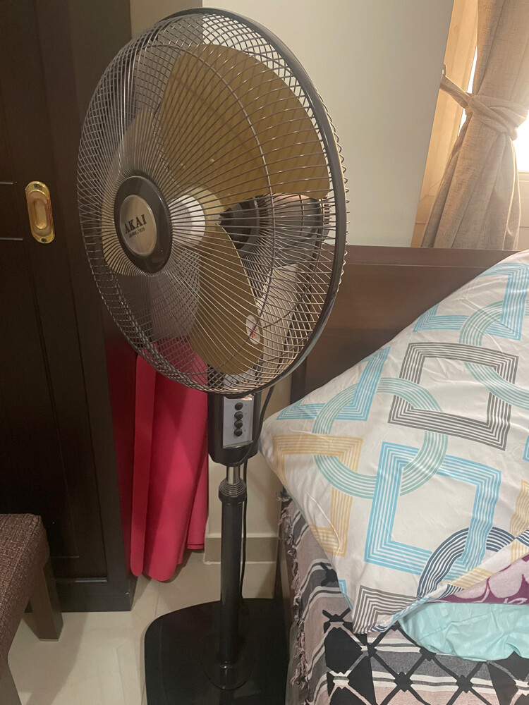fan - 1