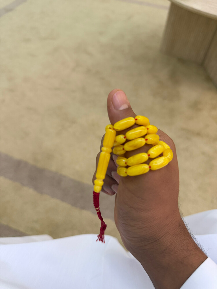 للبيع  صنوبري ٢٦ قرام  - 2