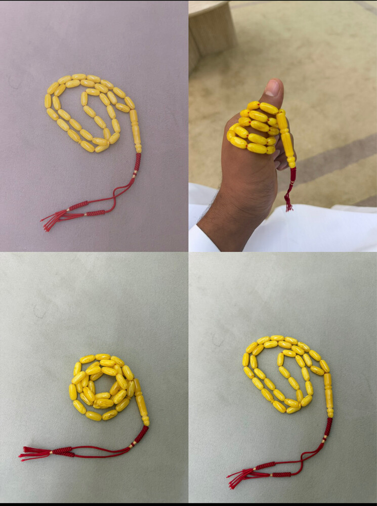 للبيع  صنوبري ٢٦ قرام  - 1