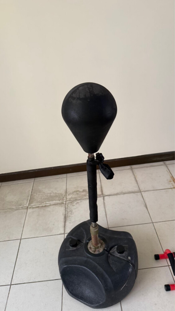 gim - 2