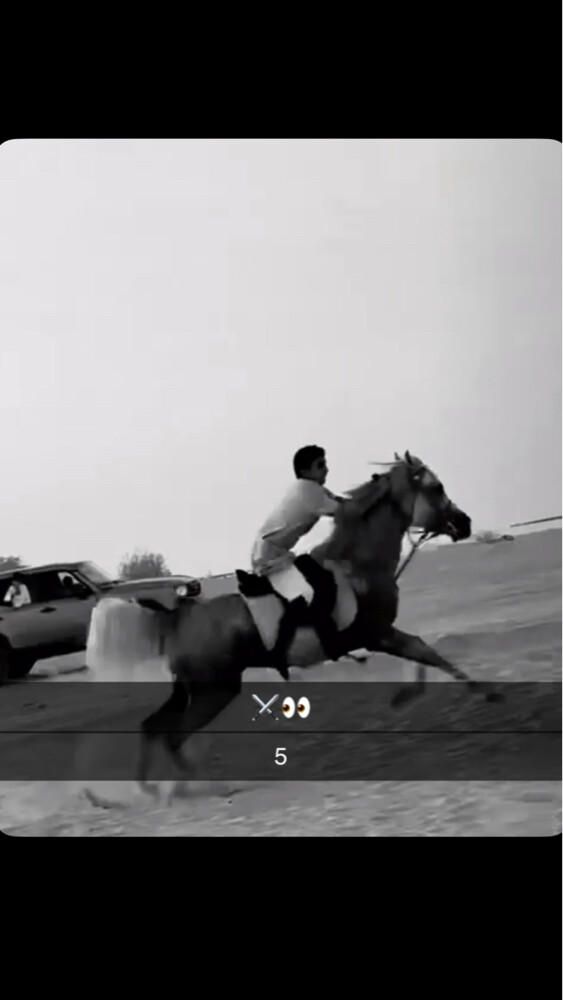 خيل عربي اصيل - 3