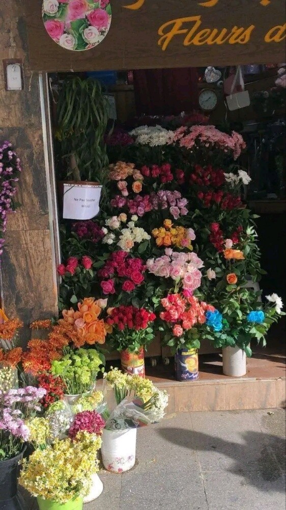 معلمة خصوصية - 1