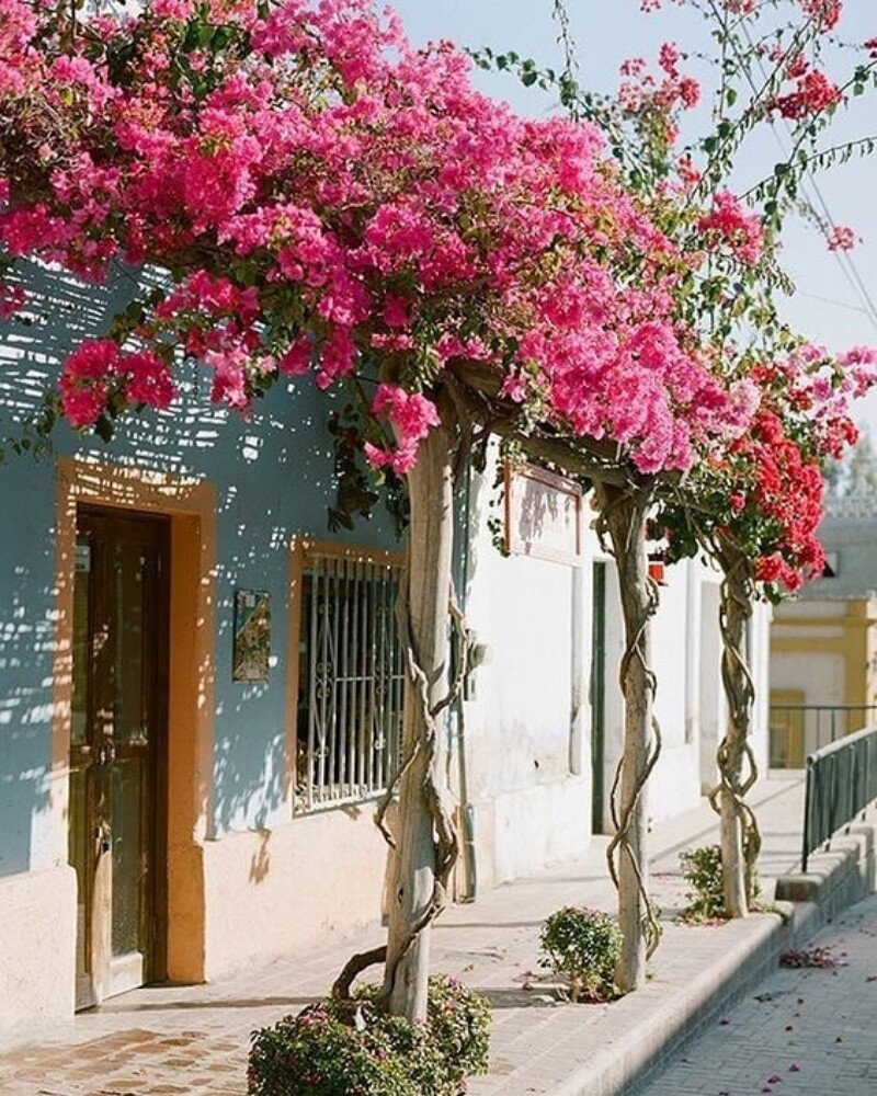 اجمل الجهنمية - 27