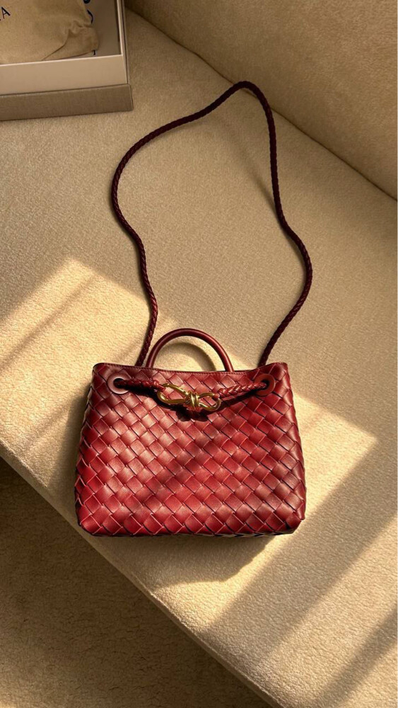 Bottega Veneta Small Andiamo  - 4