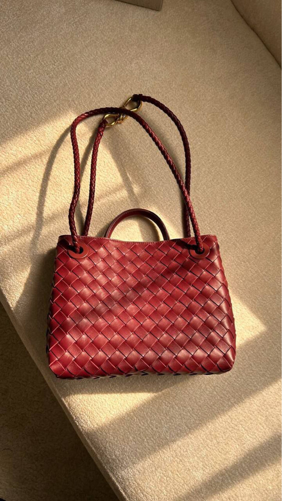 Bottega Veneta Small Andiamo  - 5