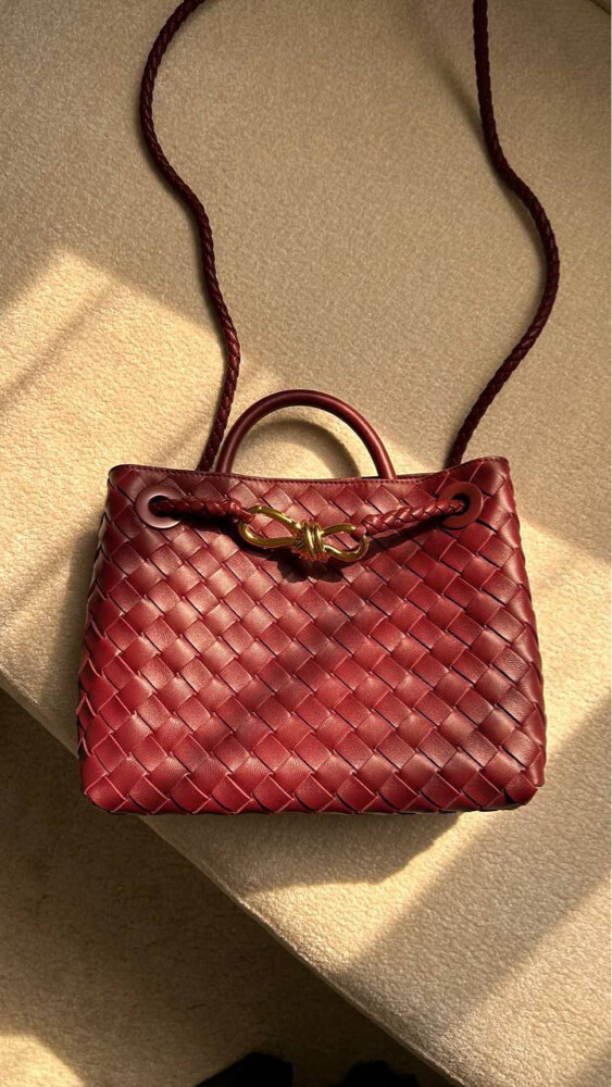 Bottega Veneta Small Andiamo  - 3